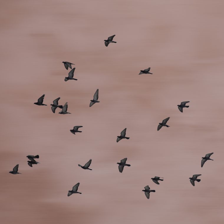 migraciones