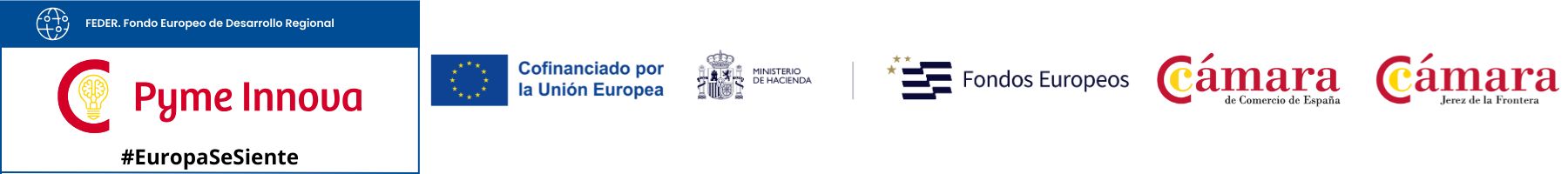 pyme-innova logo